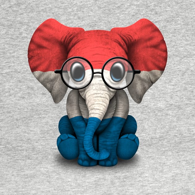 Baby Elephant with Glasses and Dutch Flag by jeffbartels